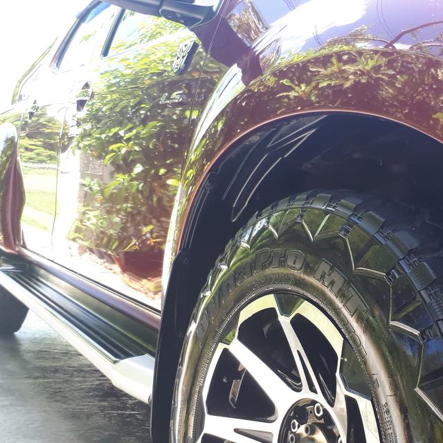 Polished wheel and wheel arch